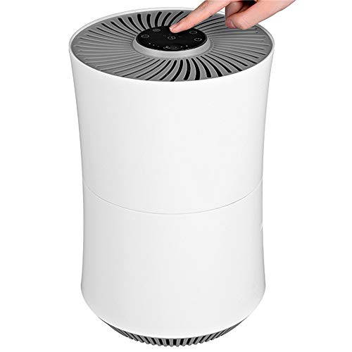WODT Purificador de Aire, Limpiador de Escritorio para el hogar, ambientador aniónico con filtros HEPA Verdaderos Modo automático, Modo de Reposo, Temporizador, 3 velocidades