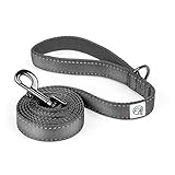 Embark Pets Adventure Pet/Dog Leash with Soft Padded Handle - 5 Foot Length (Black)