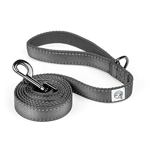 Embark Adventure Dog Leashes - Colorful, Strong, and Sturdy Dog Leash for Small, Medium, and Large Breed Dogs (Black, 5 Ft)