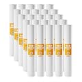 Max Water Slim Blue 5 Micron 20 inch x 2.5 inch Whole House Melt-Blown Polypropylene Sediment Water Filter Replacement Cartridge (Pack of 25)
