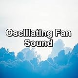  Ceiling Fan Motor