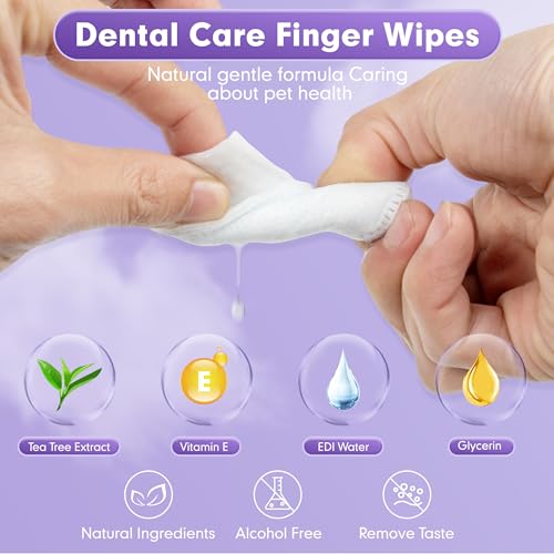 Cyeollo Dog Dental Wipes for Teeth Cleaning Pet Finger Wipes Reducing Plaque  Tartar Breath Freshener Disposable Gentle Cleaning  Gum Care Pet Wipes for Dogs Cats Norinse Toothbrush 50 Counts  Cucciolini Doodles Cyeollo dog dental wipes for teeth cleaning pet finger wipes reducing plaque  tartar breath freshener disposable gentle cleaning  gum care pet wipes for dogs cats no rinse toothbrush 50 counts   cucciolini doodles