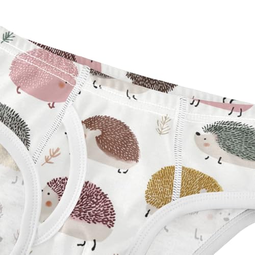 Wusikd Cute Hedgehogs Boys' Underwear Cotton Boys Briefs Soft Toddler Underwear 2T4