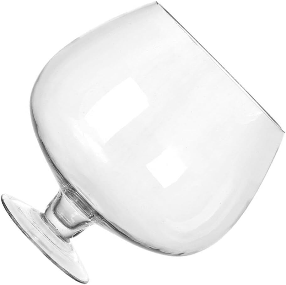 POPETPOP Bowl Glass Vase Clear Bubble Bowl Goblet Shaped Plant Terrarium Goldfish Bowl for Home Office Tabletop Decor, 21.00X21.00X21.00CM, Transparent