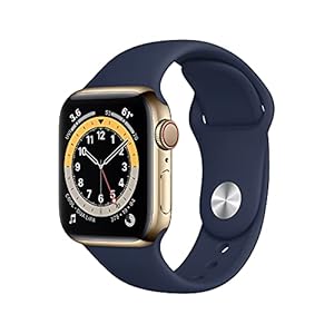Unbekannt Apple Watch Series 6 GPS Cellular 40 mm Gold Edelstahl, MJXM3NFA