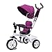 NUBAO Tricycle Bébé Trike Tricycle Tricycle Tricycle, Multifonctions Tricycle pour Enfants avec auvent, Tricycle extérieur de 1 à 5 Ans, Violet, 34x51cm (Color : -, Size : -)
