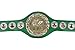 WBC Championship Boxing Belt Replica 3D - Adult Size