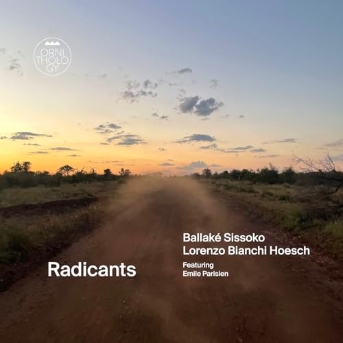 Radicants - Vinyl release thumbnail