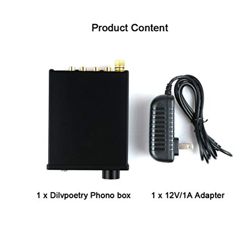 Dilvpoetry Phono Box MM Phono Preamp Preamplifier Amp HiFi Turntable Amplifier Phonograph Audio Pre amp Record Player with DC12V(Silver) - Thumbnail 5