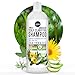 Puriya Sulfate Free Tea Tree Oil Shampoo for Flaky Dry Scalp 16 oz-Award Winning-Moisturizing, Hydrating, Color Treatment Safe Shampoo for Men, Women. Paraben Free with Rosemary, Arnica, Sage