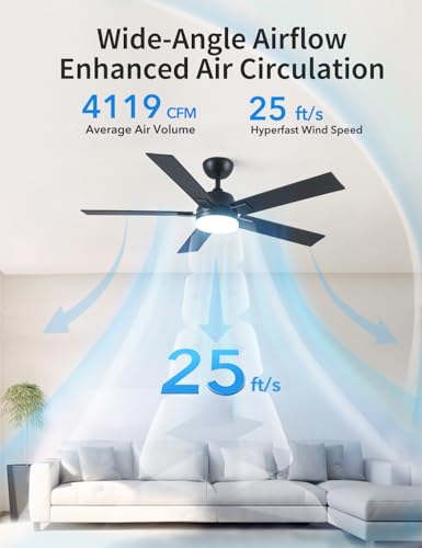Image of Rayqueen 52 Inch Black Ceiling Fans with Lights and Remote,Includes Downrod