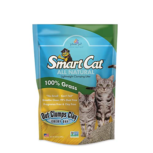 10 Best DustFree Cat Litter Brands (2023 Reviews)