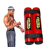 RipRight RipStick – Get Ripped Quick Strength and Resistance Training, Upper Body, Shoulder and Joint Rehab (Red/Black)