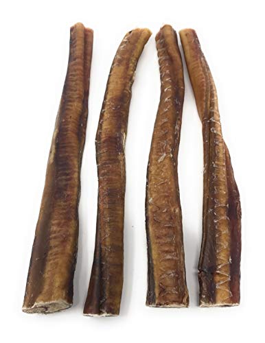 Sancho & Lola's 12-Inch Jumbo 4-Count Odor-Free Bully Sticks For Dogs Made In Usa/Sourced In Usa/Human-Grade/Chef-Prepared/Rawhide-Free Beef Pizzle Dog Chews #TOP1