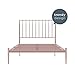Novogratz Nicole Modern Metal Platform Bed with Tall Vertical Slat Headboard, Underbed Space for Storage, No Box Spring Needed, Queen, Millennial Pink