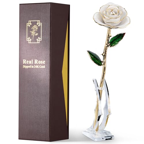 Image of 24K Gold Dipped Real Rose, Preserved Gift for Her, Ivory White