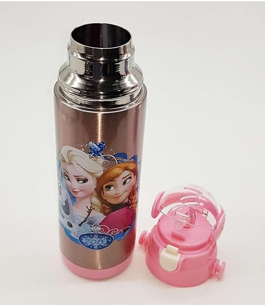 Image of 3D Cartoon Printed Double Layer Stainless Steel Sipper| Water Bottle for Boys & Girls| School, College & Tuition Drinkinware Cups for Children & Adult (Frozzen 2)