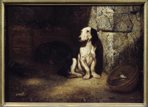 Tableau Chien de basse pour habiller un mur vide avec art et émotion
