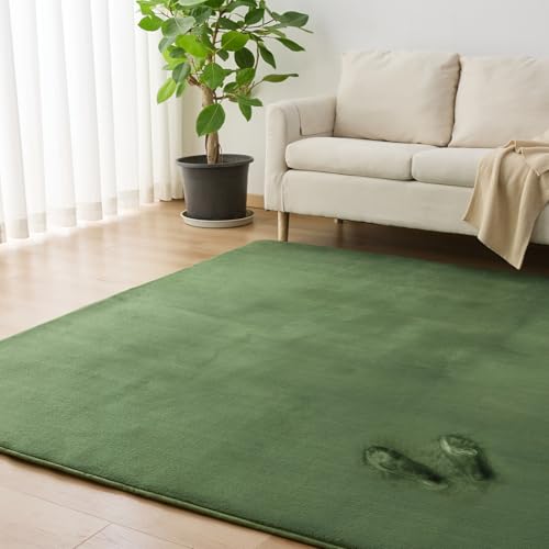 Housecover J[ybg Ɍ20mm O O}bg  ~ߕt 􂦂 200×300cm 4.5 O~ h_j R hL I[V[YKɎgp g[ zbgJ[ybgΉ ӂӂ픧G ᔽ tlO n O