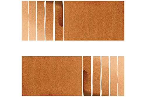 DANIEL SMITH Extra Fine Watercolor Half Pan Burnt Sienna (284650010)