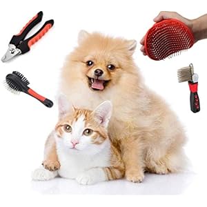Dog Brush Kit (4 Pieces) - For Shedding, Undercoat Rake for Dogs, Small or large Long and Short Haired Dog, Cat, and Puppy- Safe & Effective includes Nail Clipper, 2 Brushs, & dematting. Dog Brush Kit (4 Pieces) – For Shedding, Undercoat Rake for Dogs, Small or large Long and Short Haired Dog, Cat, and Puppy- Safe & Effective includes Nail Clipper, 2 Brushs, & dematting.