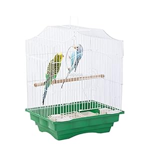 Small Bird Travel Cage – The Lightweight Small Birds Starter Kit with Birdcages and Accessories Great for Parakeets Lovebirds Parrotlets Finches Canaries