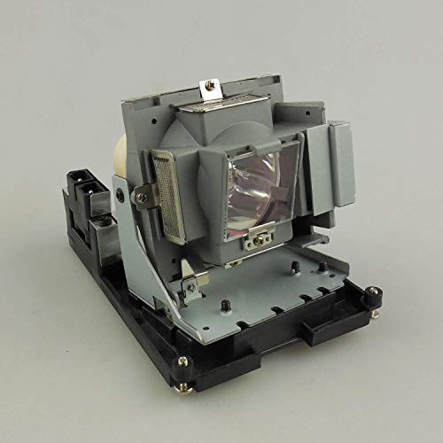 CTLAMP 5J.J0W05.001 Lampe de rechange professionnelle pour projecteur Benq W1000 / W1000+