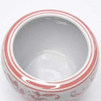 有田焼鉢　鉢カバー　メダカ鉢　紅白南天図　火鉢 有田焼鉢 鉢カバー めだか鉢 紅白南天図 火鉢 Amazon.co.jp: 十錦手