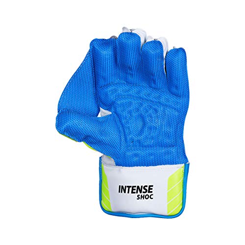Image of DSC Intense Shoc Boys Wicket Keeping Gloves