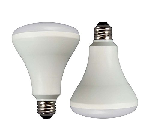 TCP 65 W Equivalent, ENERGY STAR Certified, BR30 LED Reflector Light Bulbs, Dimmable, Soft White (2 Pack)