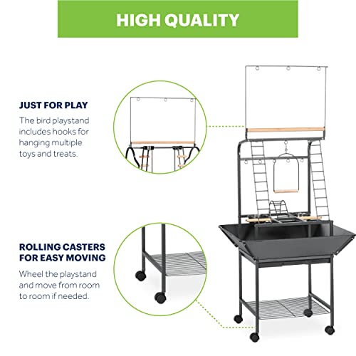 Image of Prevue Pet Products Small Parrot Playstand with Wheels, Bird Stand Activity Play Center with Perches and Ladders, Indoor Outdoor Playground for Birds with Swing, Black Hammertone Finish