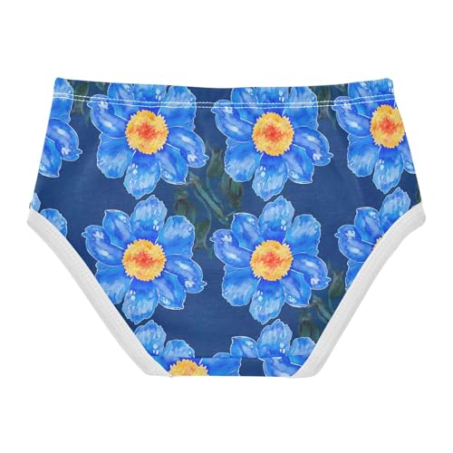 Joisal Toddler Girls Underwear 2t Cotton Little Girl Panties Fancy Briefs Undies Kids Blue Watercolor Flowers2