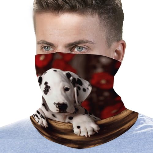 Neck Gaiter Face Mask Men Women, Lovely Hedgehog Face Mask Scart Cover for Dust Wind Sun Protection3