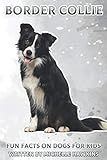 border collie dogs for sale victoria  Border Collie: Fun Facts on Dogs for Kids #29
