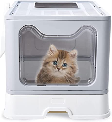 Panghuhu88 Katzentoilette Faltbar Mit Deckel – Inkl. Schaufel & Müllbeutel, 50,8x40,6x10,2 Cm