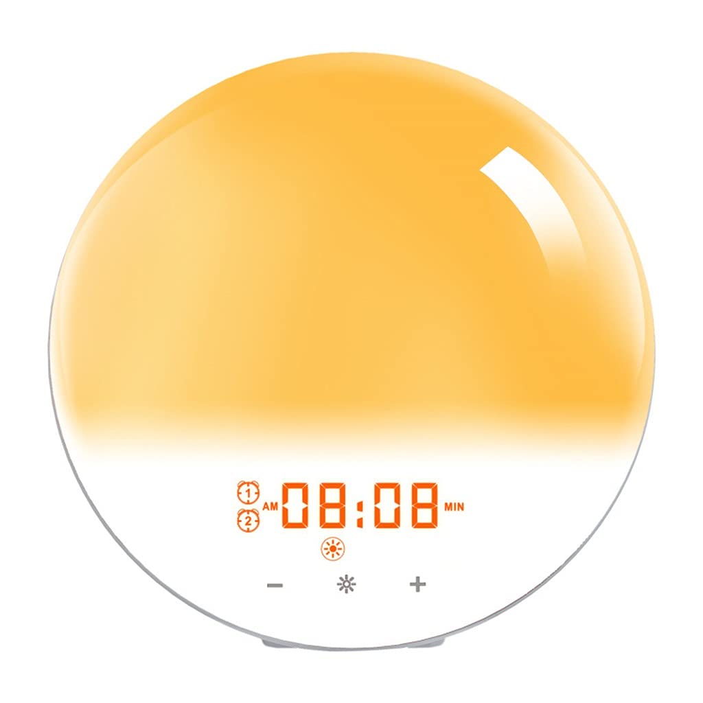 Wake Up Light Sveglia, Simulazione Alba/Tramonto, 7 Colori / 4 Sveglie/Radio FM/Snooze, Luce Notturna a Controllo Tattile, Ideale per Bambini e Adulti