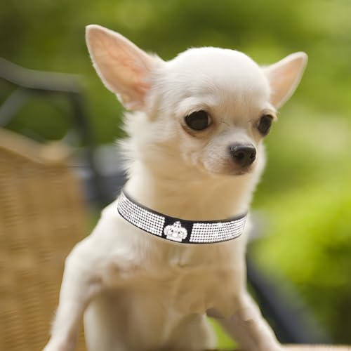 Collar de perro con diamantes para paseos elegantes de mascotas S 4