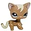 Cat #1170 Cat #1170