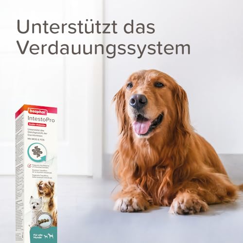 BEAPHAR - IntestoPro Paste Für Hunde - Mit Zeolith - Mit MOS & FOS - Unterstützt Das Gleichgewicht Der Darmfunktion - 2 x 20 ml