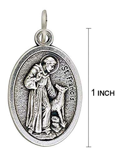 Religious Gifts Saint St Francis Of Assisi 1 Inch H Silver Tone Pet Medal #TOP1