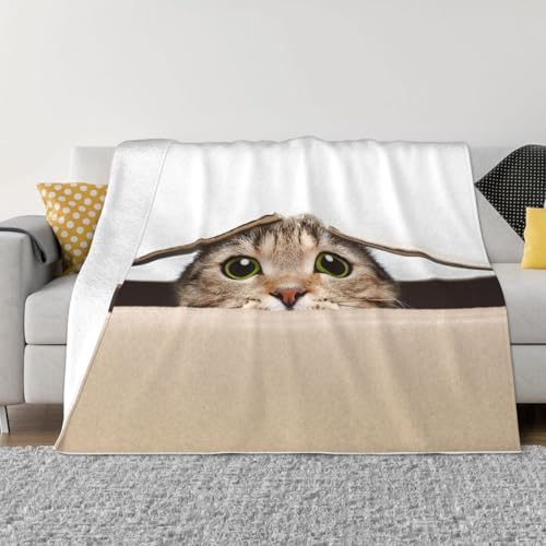 ѕz  L L ʔ ˂ 킢 uPbg ӂӂ y 唻 _炩G t@bV Aj Ђ| |ѕz Lv Blanket 􂦂 Ódh~ lGKp lC  150cmx200cm