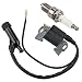 Yermax Ignition Coil with Spark Plug for Generac 389cc 5KW 5.5KW 6KW 6.5KW Portable Generator GP5000 GP5500 GP6000E GP6500 GP6500E GP7500