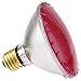Industrial Performance 75PAR30/H/PK 130V, 75 Watt, PAR30, Medium Screw (E26) Base Transparent Pink Light Bulb (1 Bulb)