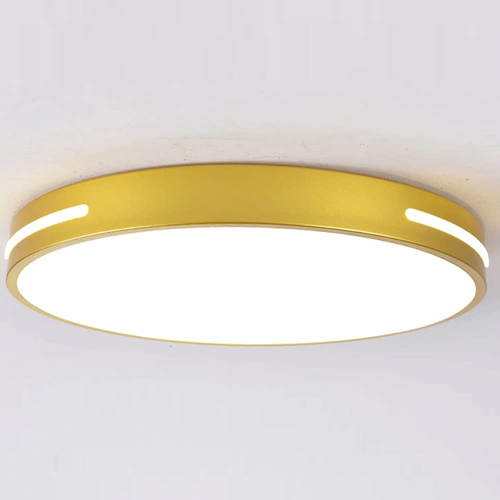 Amazon.com: DOBQHWY Simple Ironwork LED Ceiling Light