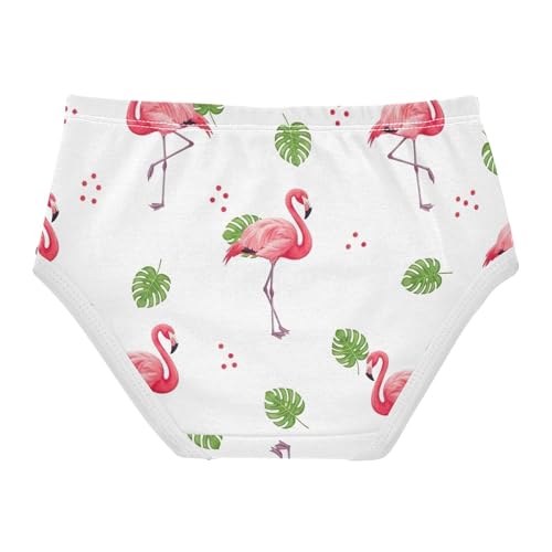 Toddler Girls Underwear 2t Cotton Girl Panties Cute Flower Briefs Underpants Pink Flamingos Leaves Red Dots2