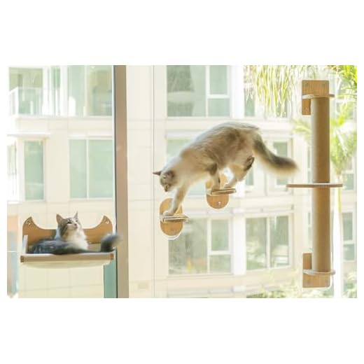 Pet Savvy Wall Mount Cat Hammock