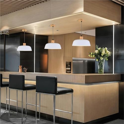 Lámpara de techo Malista E27 de metal para renovar la decoración y luz de tu oficina 4