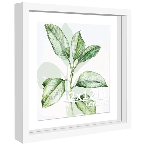 CORE ART 12x12 Floating Picture Frame, White