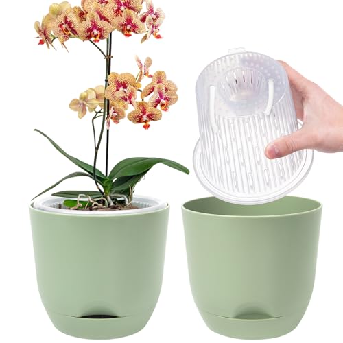2er-Set Orchideentopf, 14,7 cm Doppelschicht-Design – Transparenter Selbstbewässerungstopf mit Übertopf, Orchideen-Bewässerungssystem, Blumentopf für Orchideen(Purgrün)
