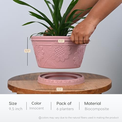 Image of Eha Earth Friendly Nile Planter 9.5 inch Planters for Home Decor| Bamboo Based Plant Pot | Pack of 6 | UV Protected Pot for Plant | Flower Pot for Living Room, for Outdoor and Indoor | Innocent